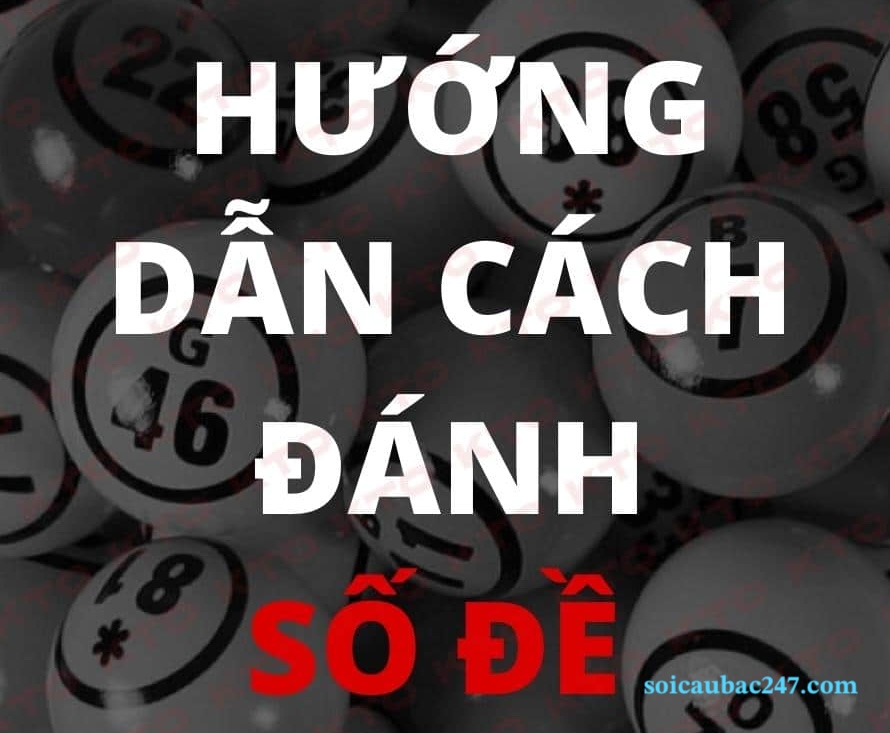 Hướng dẫn cách đánh số đề