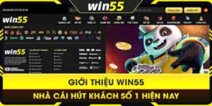 win55 - nhà cái uy tín