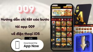 Hướng dẫn chi tiết các bước tải app 009 về điện thoại iOS