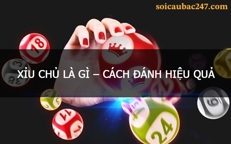 cách đánh xỉu chủ chuẩn xác an toàn