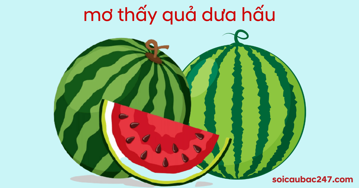 mơ thấy quả dưa hấu đánh số gì trúng