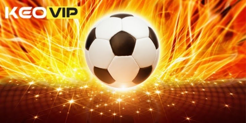 keo nha cai các giải đấu lớn do Keovip.cc cung cấp