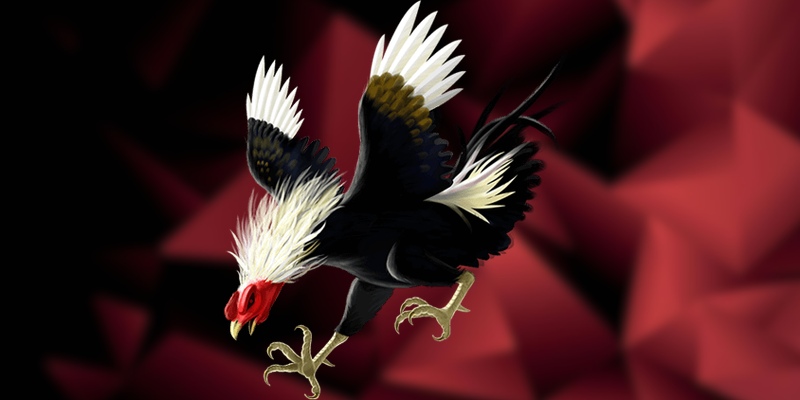 Các bước đăng ký đại lý cho người mới